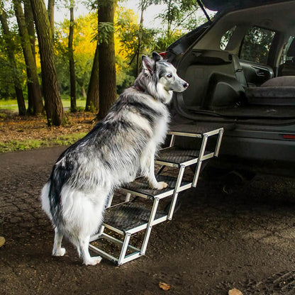 StepUp Dog Ladder