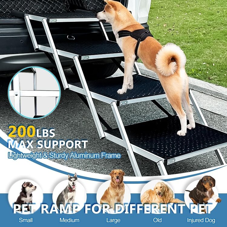 StepUp Dog Ladder